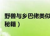 野兽与乡巴佬类似的电脑游戏（野兽与乡巴佬秘籍）