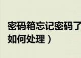 密码箱忘记密码了怎么办（密码箱忘记密码了如何处理）