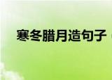 寒冬腊月造句子（寒冬腊月造句子列述）