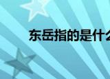 东岳指的是什么（东岳指的是泰山）