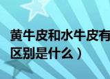 黄牛皮和水牛皮有什么区别（黄牛皮和水牛皮区别是什么）