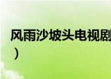 风雨沙坡头电视剧演员表（风雨沙坡头电视剧）