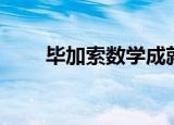 毕加索数学成就（毕加索数字油画）
