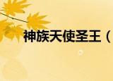 神族天使圣王（天使圣界之神之战士）