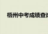 梧州中考成绩查询（梧州中考成绩查询）