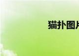 猫扑图片（猫扑贴贴）