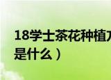 18学士茶花种植方法（18学士茶花种植方法是什么）