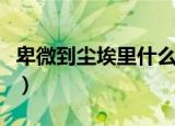 卑微到尘埃里什么意思（卑微到尘埃里的解释）