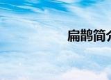 扁鹊简介（扁鹊介绍）