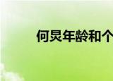 何炅年龄和个人资料（何炅年龄）