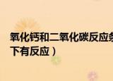 氧化钙和二氧化碳反应条件（氧化钙和二氧化碳在什么条件下有反应）