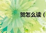 贺怎么读（贺字具体怎么读）