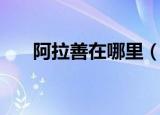 阿拉善在哪里（阿拉善位于哪个位置）
