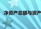 净资产总额与资产总额区别（净资产总额）