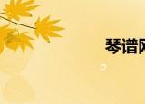 琴谱网（琴谱网）