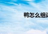 鸭怎么组词（鸭如何组词）