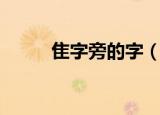隹字旁的字（隹字旁的字有哪些）