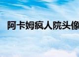 阿卡姆疯人院头像（阿卡姆疯人院年度版）