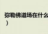 弥勒佛道场在什么地方（弥勒佛道场位置介绍）