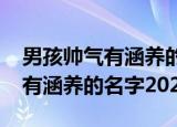 男孩帅气有涵养的名字2022（男孩帅气好听有涵养的名字2022）