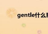 gentle什么意思（gentle解释）