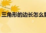 三角形的边长怎么算（三角形的边长如何算）