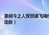 奈何今之人双目送飞鸿什么意思（奈何今之人双目送飞鸿的出处）