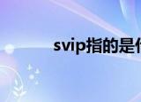 svip指的是什么（什么是svip）