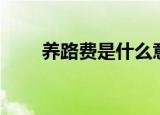 养路费是什么意思（养路费是什么）