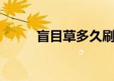 盲目草多久刷新（盲目草哪里多）