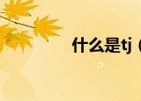 什么是tj（TJ是什么意思）