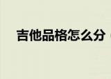 吉他品格怎么分（吉他品位怎么划分的）