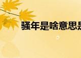 骚年是啥意思是什么（什么是骚年）