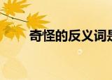 奇怪的反义词是什么（奇怪的意思）