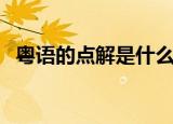粤语的点解是什么意思（点解是什么意思）