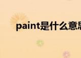 paint是什么意思（paint中文的解释）