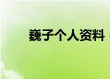巍子个人资料（巍子国家一级演员）