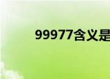 99977含义是什么（99977含义）