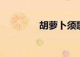 胡萝卜须歌词（歌手简介）