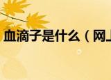 血滴子是什么（网上说的血滴子是什么意思）