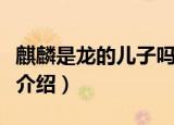 麒麟是龙的儿子吗（关于麒麟是不是龙的儿子介绍）