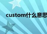custom什么意思中文（custom的意思）