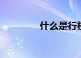 什么是行权（什么是行权）