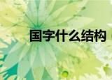 国字什么结构（国字的结构是什么）