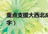 重点支援大西北成语（重点支援大西北 打一字）