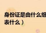 身份证是由什么组成的（身份证由什么组成代表什么）