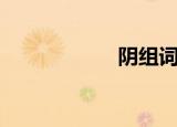 阴组词（阴字组词）