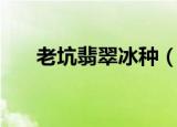老坑翡翠冰种（什么是老坑翡翠冰种）