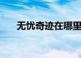无忧奇迹在哪里可以下载（无忧奇迹）