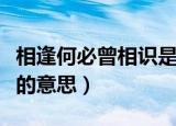 相逢何必曾相识是什么意思（相逢何必曾相识的意思）